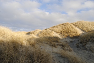 sand dunes and blue sky