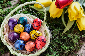 Easter painted quail eggs in a basket among grass and moss in light