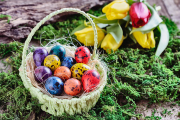 Easter painted quail eggs in a basket among grass and moss in light