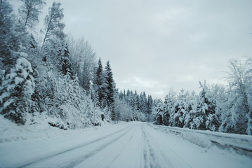 snowy road in winter forest