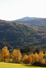 autumn in the mountains