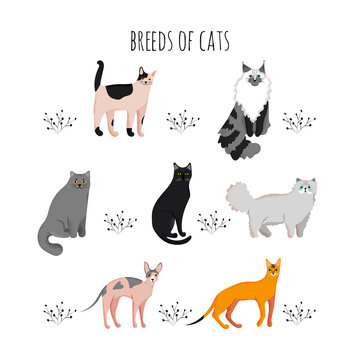 Set icons cartoon style of cat breeds. Cute characters for different design.