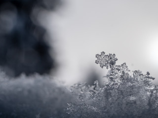 Snowflake closeup photo. Snow macro. Snowflake on macro photo.