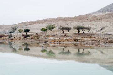 Dead Sea