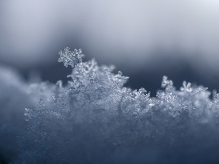 Snowflake closeup photo. Snow macro. Snowflake on macro photo.