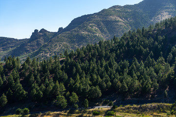 Valley of Montanas Negras. Viewpoint Mirador del Teide. Tenerife. Canary Islands. Spain.