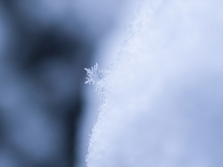 Snowflake closeup photo. Snow macro. Snowflake on macro photo.