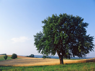 Wigry National Park, Poland