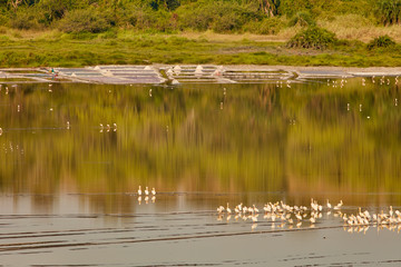 Queen Elizabeth National Park