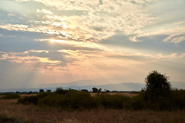 Queen Elizabeth National Park