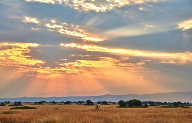 Queen Elizabeth National Park