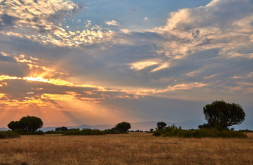 Naklejka premium Queen Elizabeth National Park