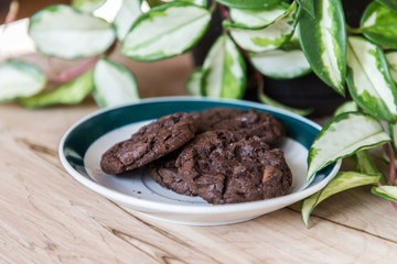 A plate of chocolate cookies on the foreground of a pot of  green plant