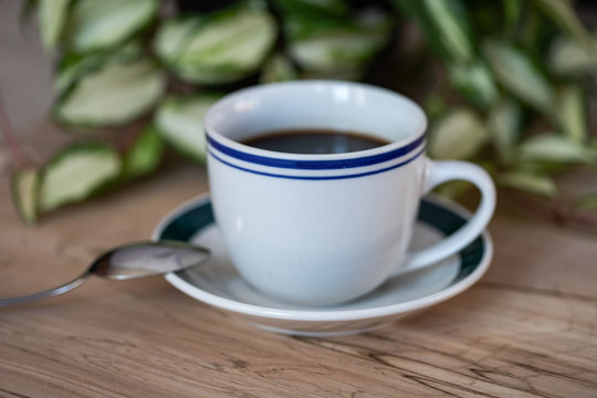 A cup of coffee with a coffee spoon and a pot of green plant on the background