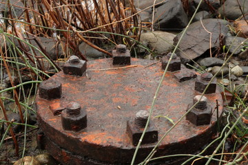 Pipe cap