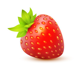 Vector icon of Strawberry - juicy realistic illustration of single isolated berry.