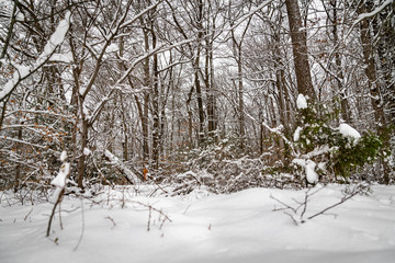Snow Day 2019_19