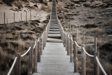 Wood boardwalk crossing grassy sand dunes long depth of field crossing grassy sand dunes shallow depth of field