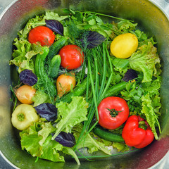 Purchased vegetables in the store need to be washed before meals. Photo of vegetables in the kitchen sink in jets of water. Group of fresh vegetables washed in the sink.
