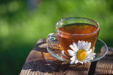 A cup of fragrant chamomile tea, in white chamomile flowers, in the rays of warm sunlight, close-up, on a wooden stand.