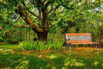 Bench by a cherry tree in a family garden, Provence France