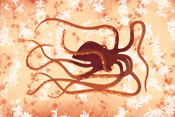 Orange Octopus - 243199088