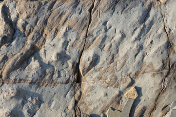 Natural background texture of a hard stone with a rump plan.