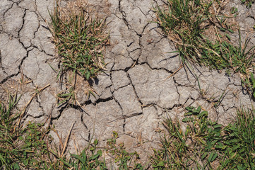 Dry land cracked earth. Texture, background, pattern. Arid land. Abstract pattern on dust backdrop....