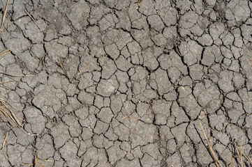 Dry land cracked earth. Texture, background, pattern. Arid land. Abstract pattern on dust backdrop....