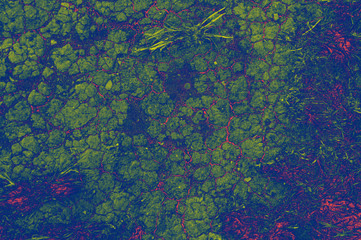 Dry land cracked earth for concept design. Abstract background. Barren earth. Crack soil ground texture background. Texture, background, pattern.