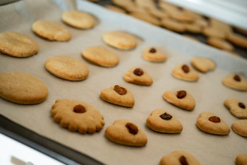 a lot of baked cookies and gingerbread on baking tray, decorated with raisins