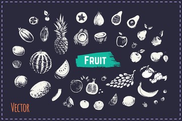 Hand drawn fruits and berries set. Vector icons