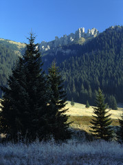 Chocholowska Valley and Mnichy Chocholowskie Mountain, Tatry mountains, Poland