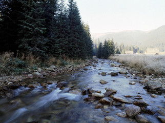Chocholowska Valley, Tatry mountains, Poland © Maciej