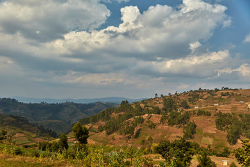 Fototapeta na wymiar Ugandan Highlands