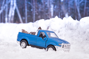 A toy. Blue pickup truck in winter forest in snowdrift. Carrying fir cones in the back of a car...