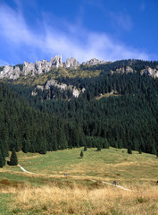 Chocholowska Valley, Tatry mountains, Poland © Maciej