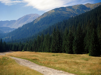 Tatry mountains, Tatrzanski National Park, Wyznia Jarzabcza Polana, Poland © Maciej