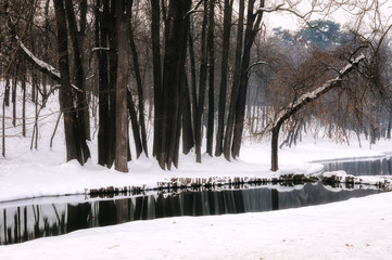 winter in the park