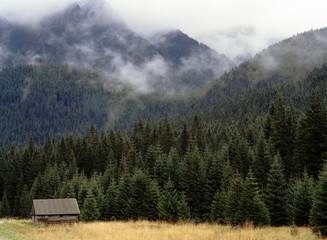 Shepherd's huts, Chocholowska Valley, Western Tatras, Tatry mountains, Poland © Maciej