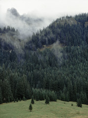 view to Mnichy Chocholowskie, Chocholowska Valley, Western Tatras, Tatry mountains, Poland © Maciej