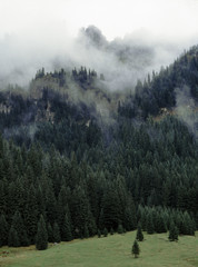 view to Mnichy Chocholowskie, Chocholowska Valley, Western Tatras, Tatry mountains, Poland © Maciej
