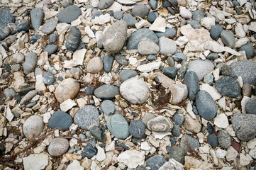 river stones