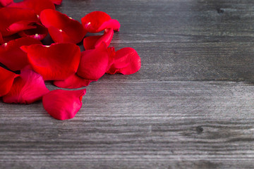 Red Rose Petals Fallen on a Grey Wooden Table