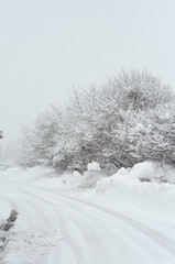 Winter countryside road in snow. Trees covered with snow near to the road