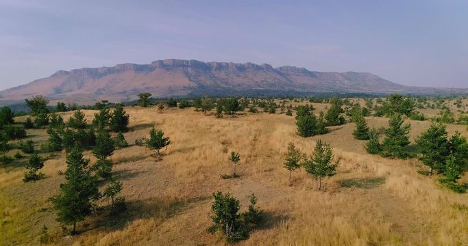 Montana park county sheep MTN
