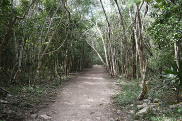 Ruinas Mayas Coba