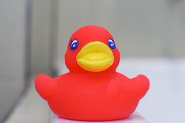 Close up of red rubber duck