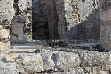 Zona Arqueologica de Tulum