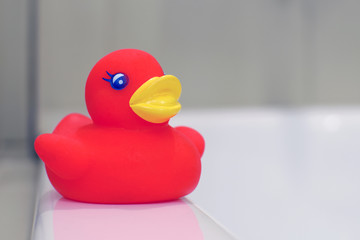 Close up of red rubber duck in bathroom.